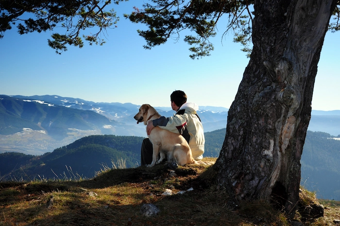Man and a male dog under a tree, looking out across the mountains