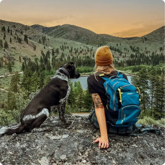 Dog with a Halo Collar hiking safely with owner