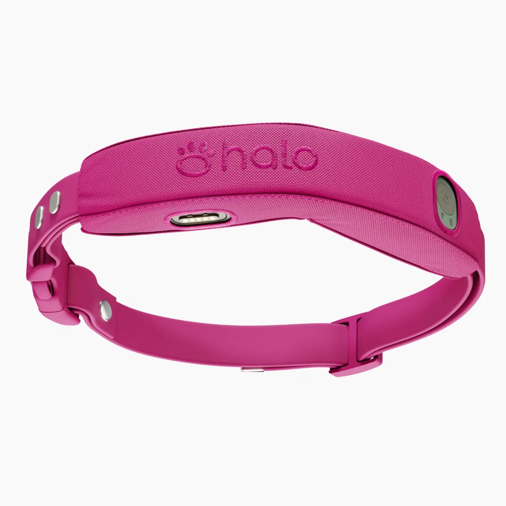 Pink collar
